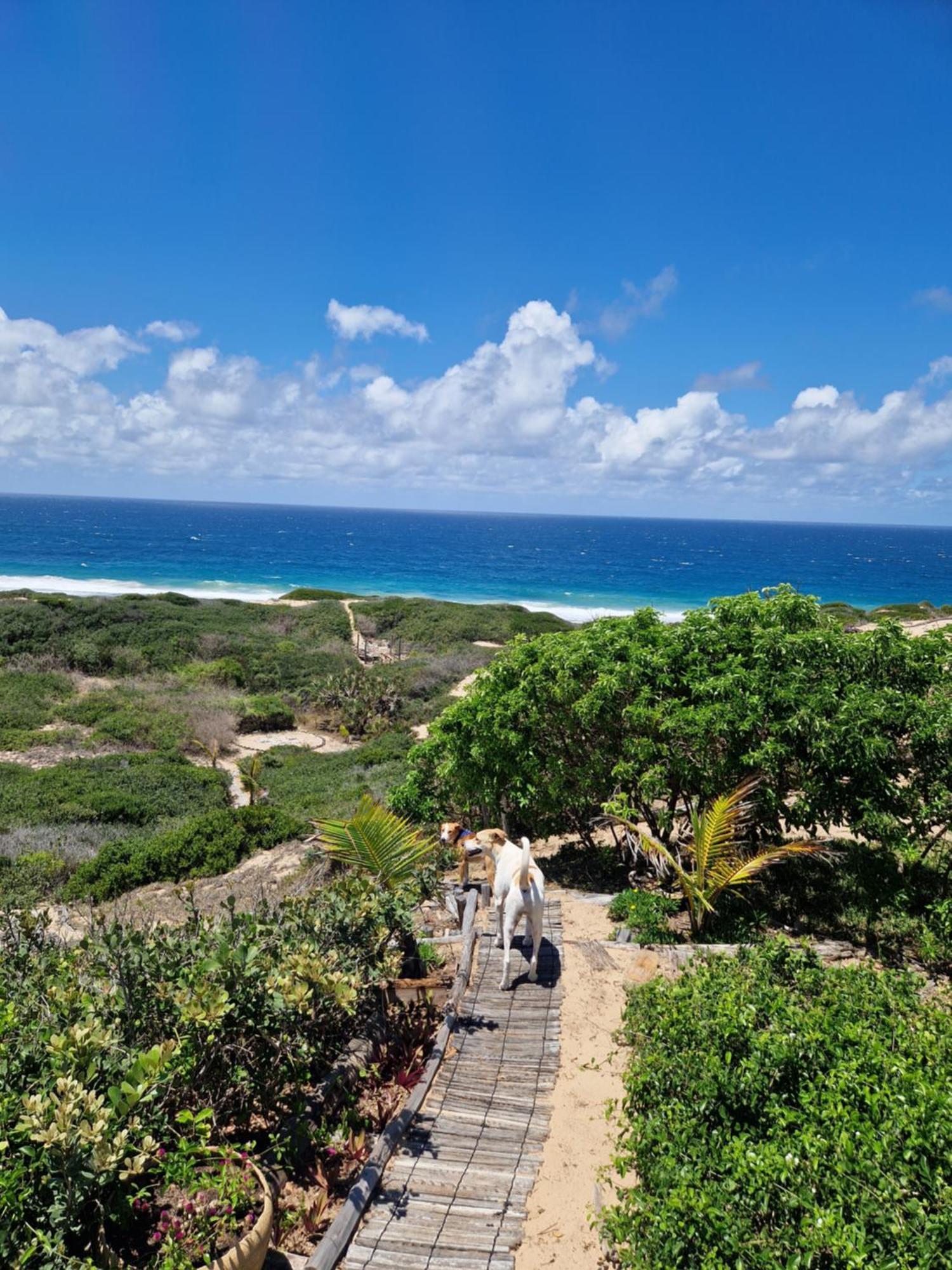 Mar-Me-Quer, Eco Beach Retreat Inhambane Exteriér fotografie