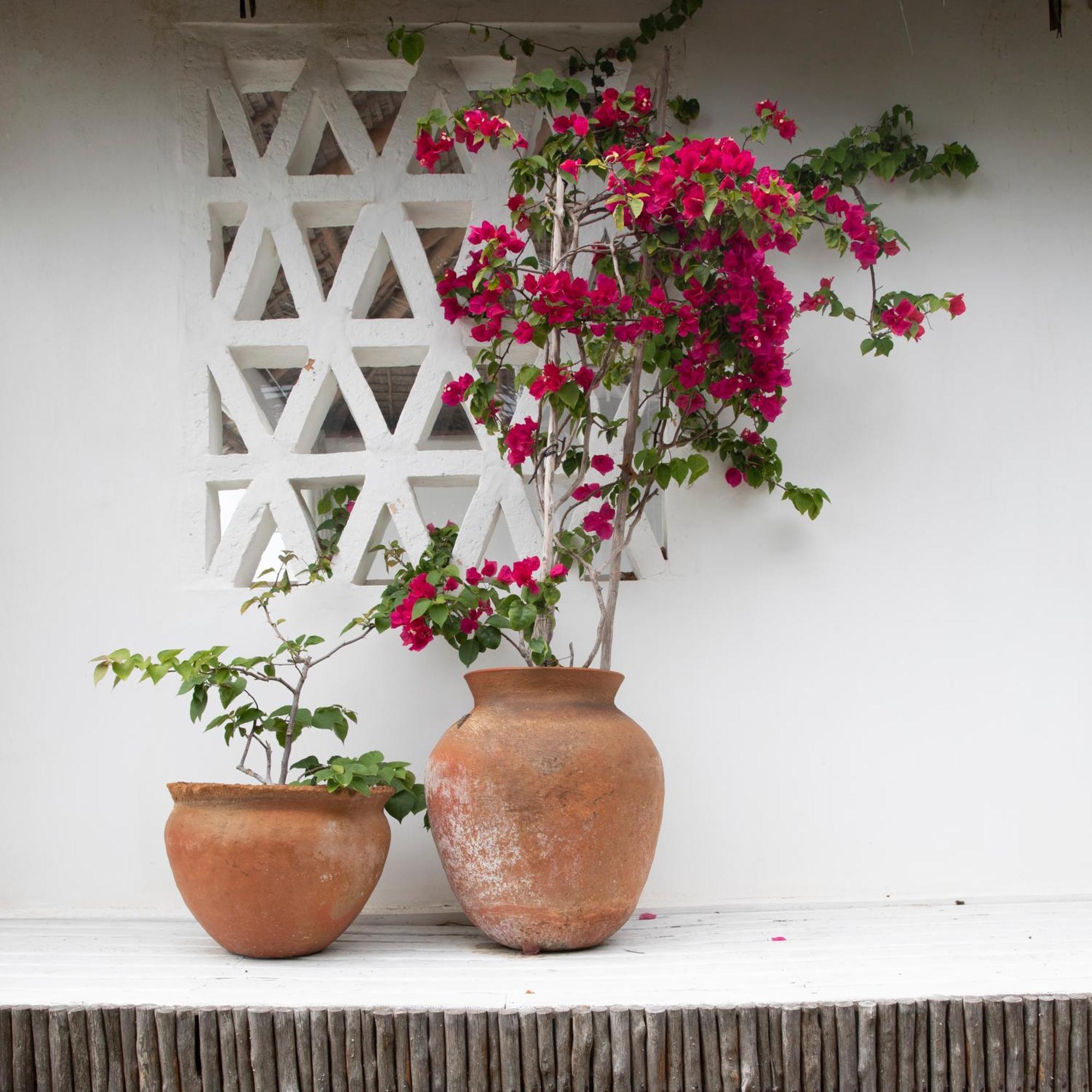 Mar-Me-Quer, Eco Beach Retreat Inhambane Exteriér fotografie